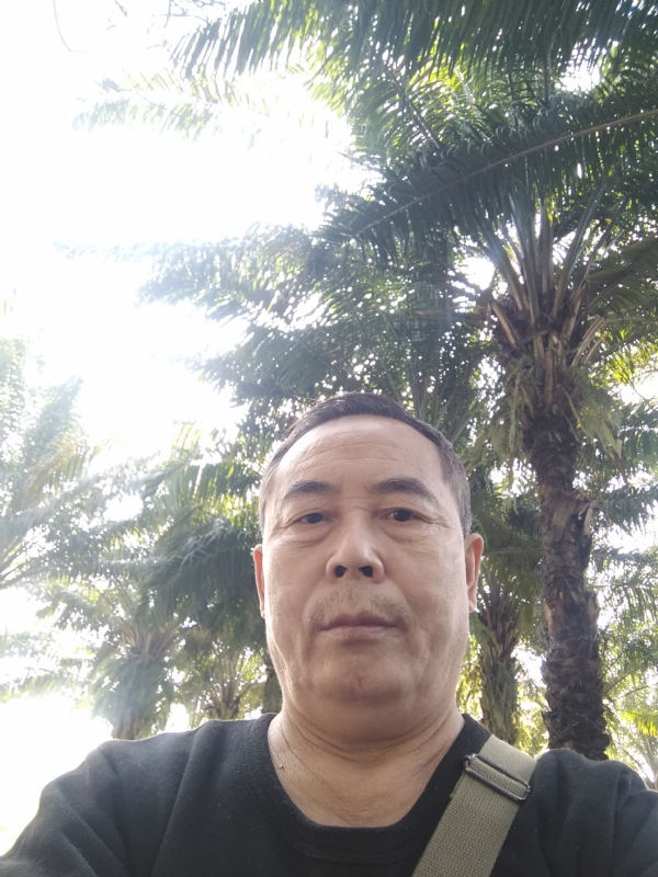 重振雄风的第二张照片--内蒙古王婆说媒